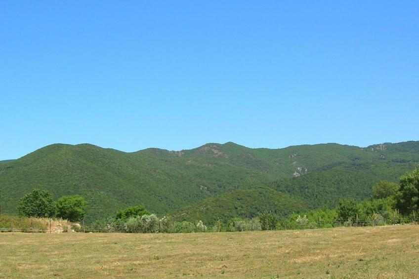 Wohnung Grecale in Castellina Marittima - foto 18