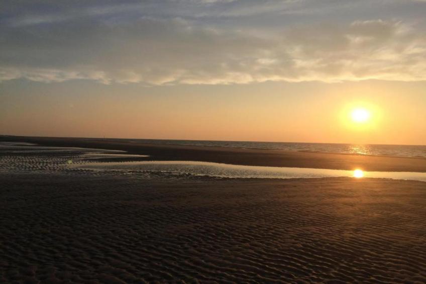 Jan van Renesseweg 1 - Renesse 4p - foto 33