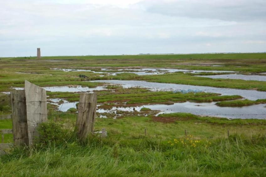 B&B de Gouwe Tijd - foto 18