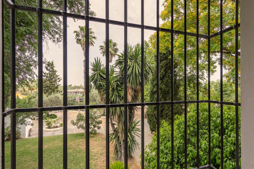 Las Codornices - foto 46