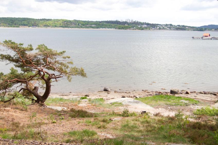 Wunderschönes Haus in einer fantastischen Natur am Meer - foto 13