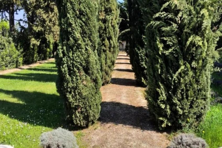 Le Mas De Jalique - Isle-sur-la-sorgue - foto 36