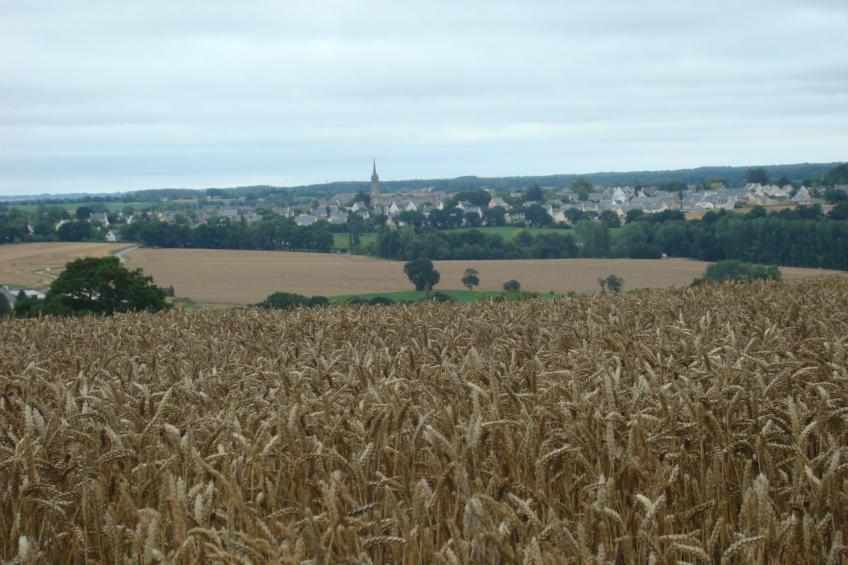 für 4 Personen ca. 35 m²in Hénanbihen, Bretagne (Côtes-d'Armor) - foto 9