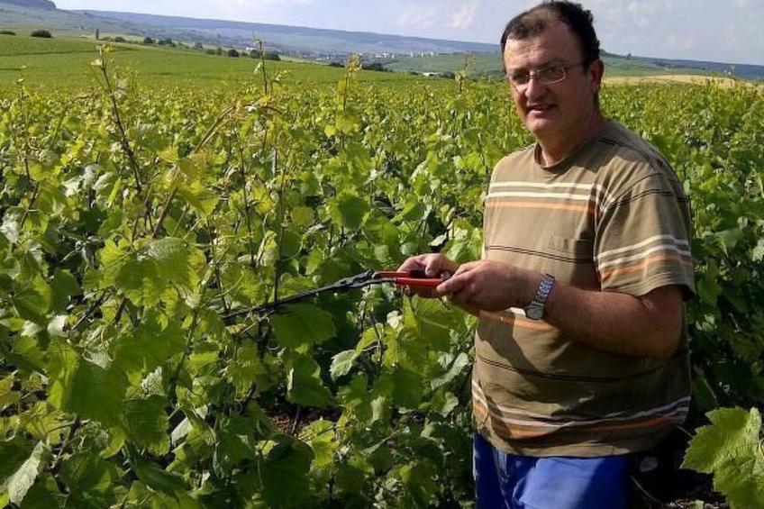 Haus im Herzen eines landwirtschaftlichen Betriebs - foto 15