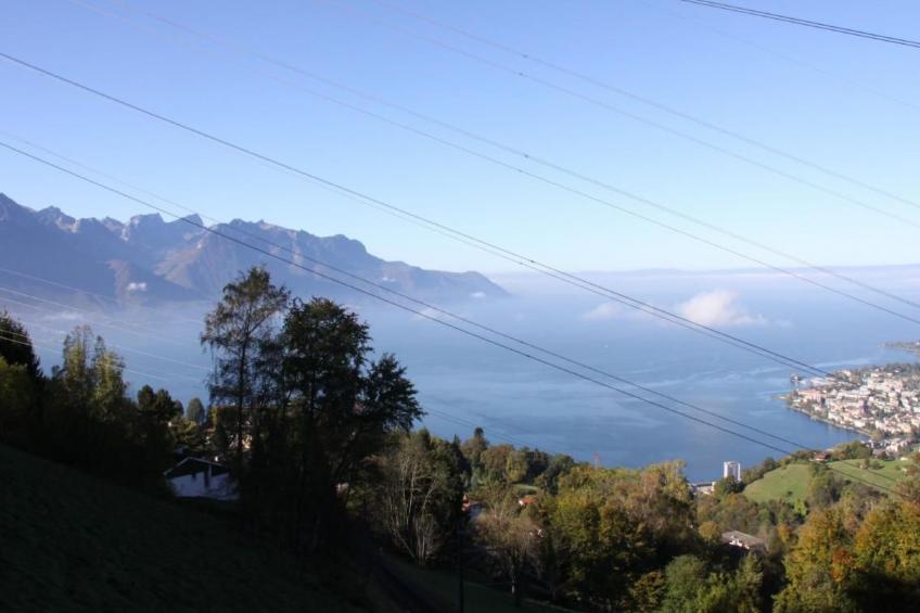 Gais Alpins - foto 35