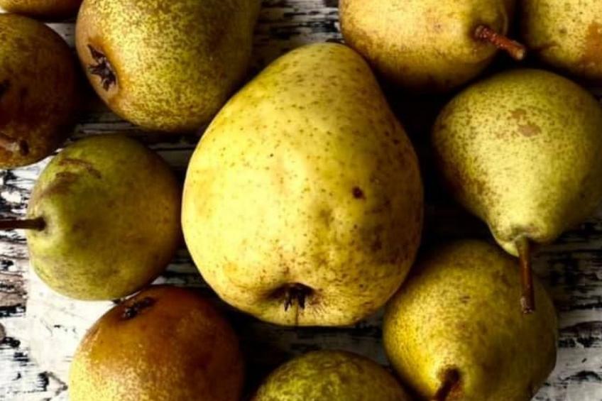 Kellerstöckl am veganen Bio-Lebenshof - Varm - the vegan Farm - foto 52