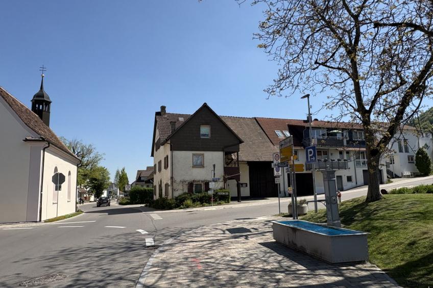 Sonnige Aussichten - Obstbau Koch - foto 37