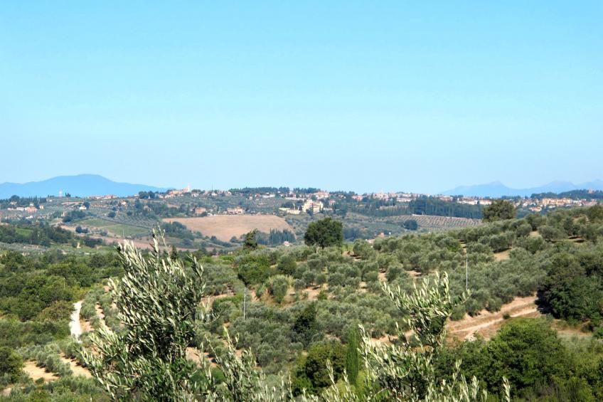 Podere Campiglia (TVN191) - foto 27