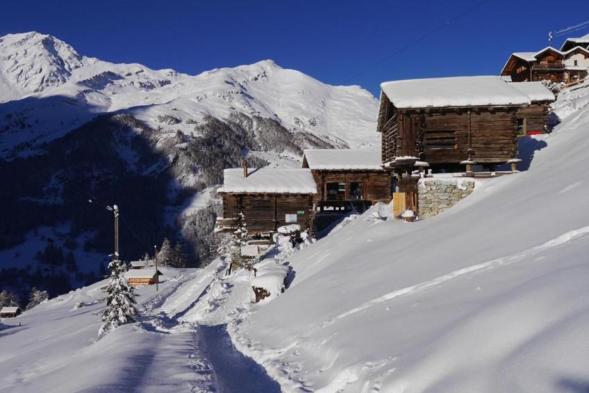 Mayen an Henri - foto 15