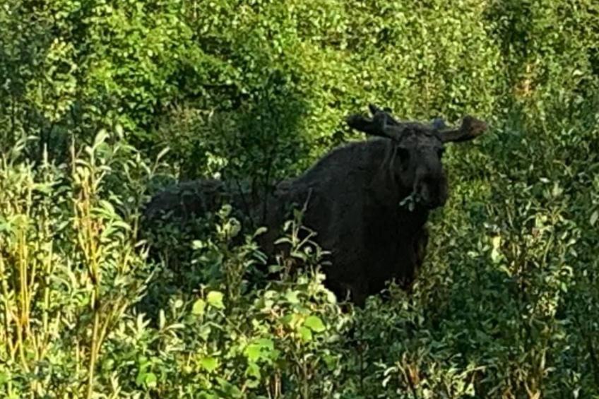 Zu vermieten in der Nähe von Jokkmokk - foto 13