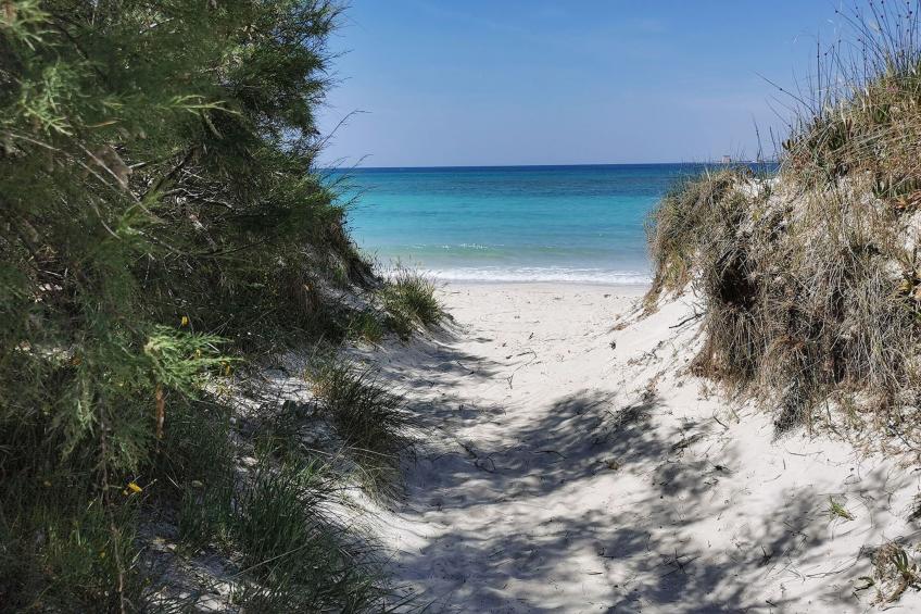 "Garden Suite" - foto 23