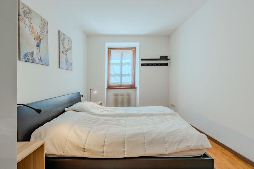 Edera - foto 10