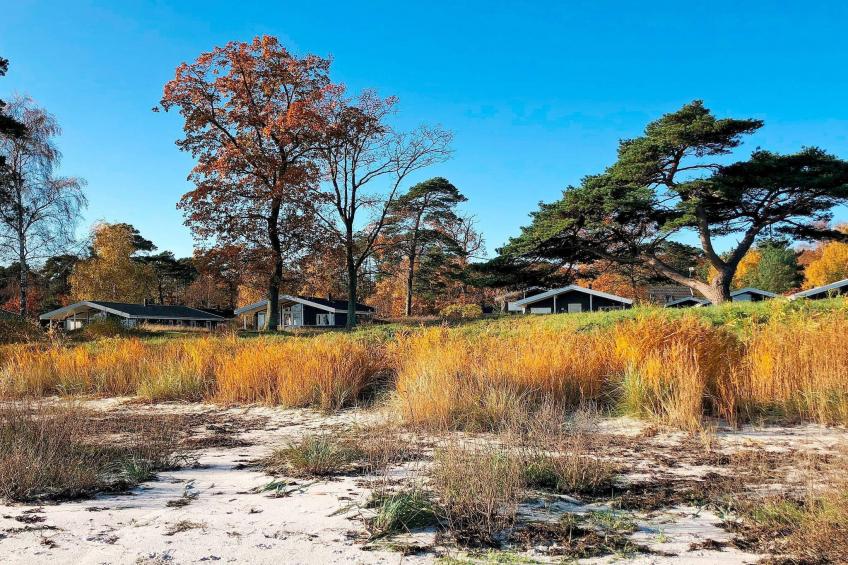 FUGLEKONGEN - foto 10