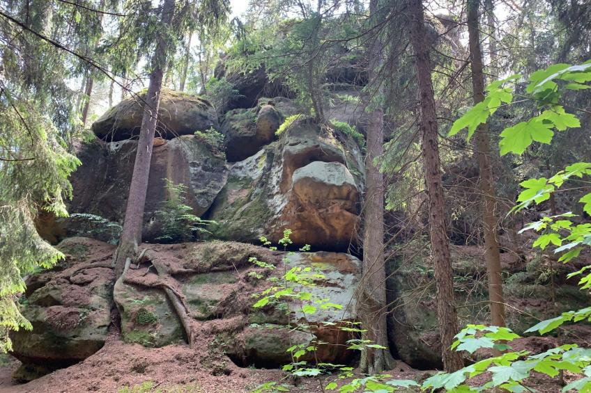 Waldferienhaus Dunja mit Sauna, Whirlpool, direkt am Waldrand, Kletterfelsen - foto 15