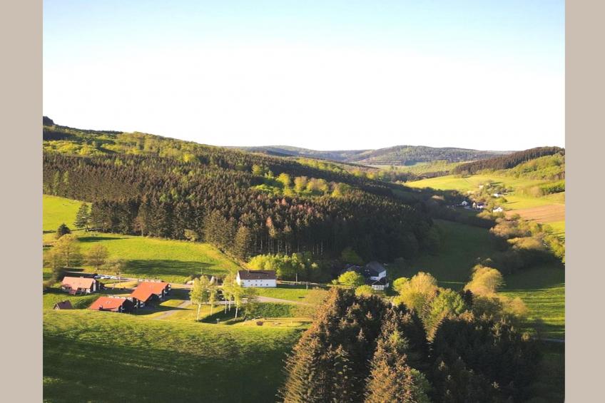 Murmeltier - foto 12