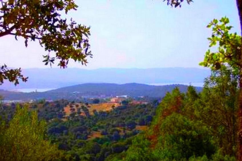 mit Blick auf das Wasser - foto 16