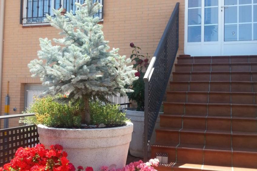 Montesol-Ferienwohnung - foto 3