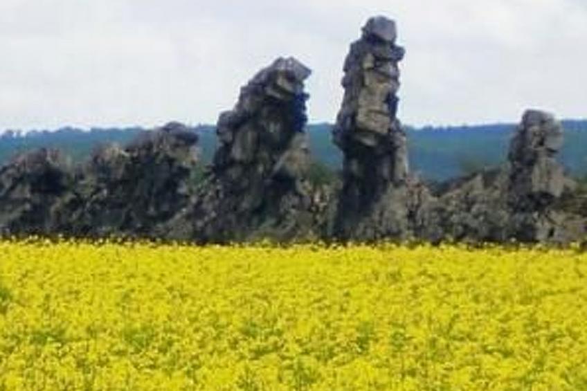 Appartement in Thale mit Grill - foto 24