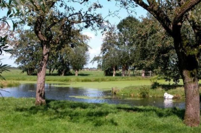 Wohnung auf dem Bauernhof - foto 25