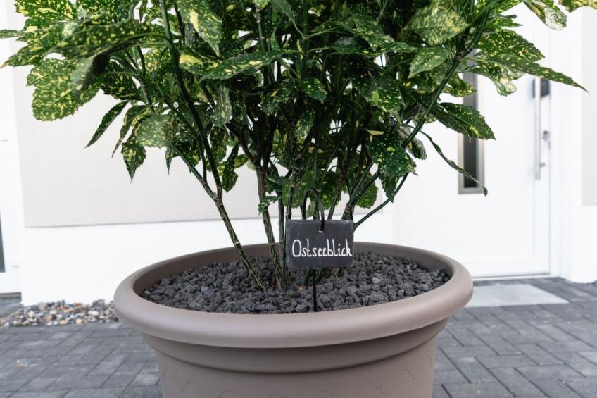 Herzlich willkommen im Ostseehaus am Naturstand - Ostseeblick! - foto 5