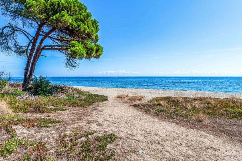 Domaine Punta della Guardia Maison A Figa mit Blick auf das Meer - foto 37