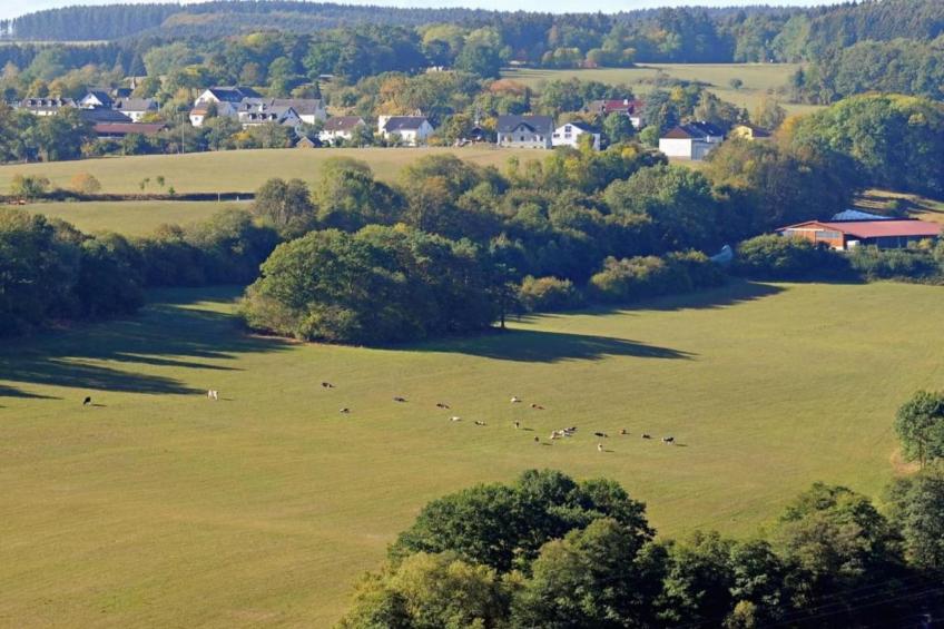 Eifelpark 9 - foto 31