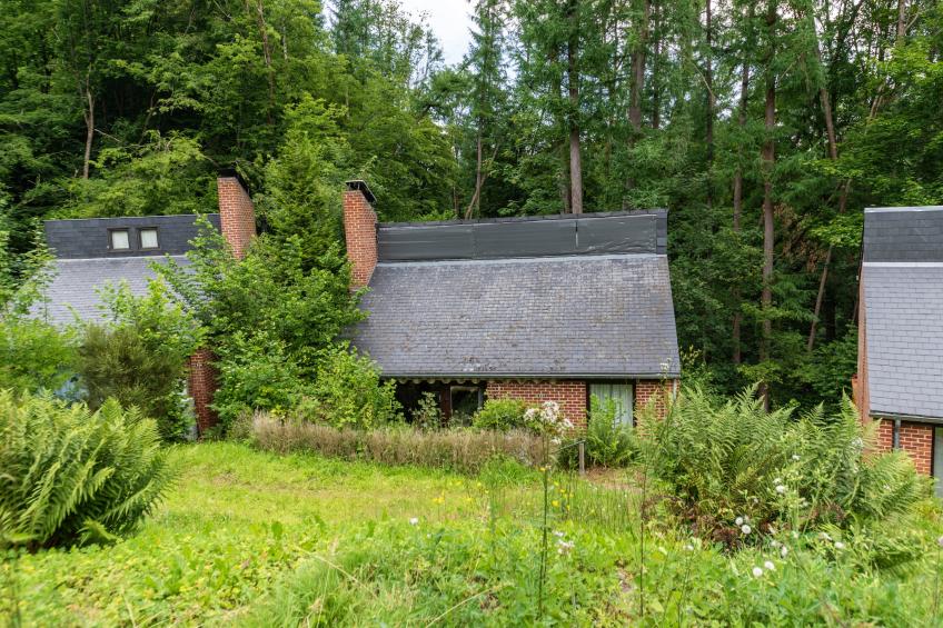 Ecarlate 27 - foto 7