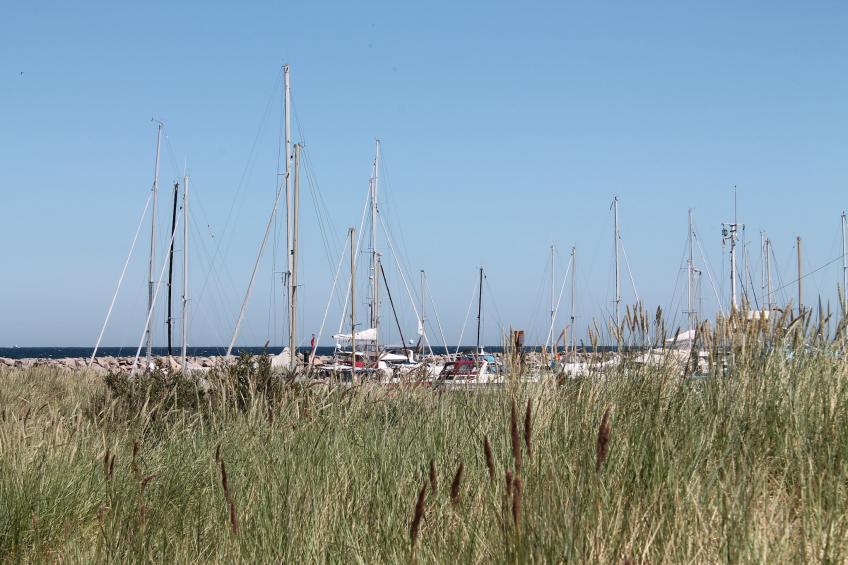 Im Grünen - foto 14