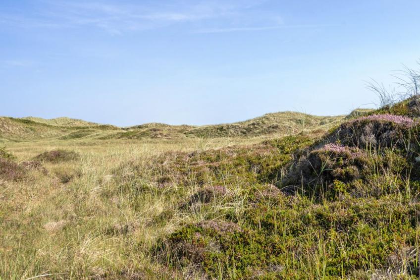 "Marjon" - 400m from the sea in NW Jutland - foto 21