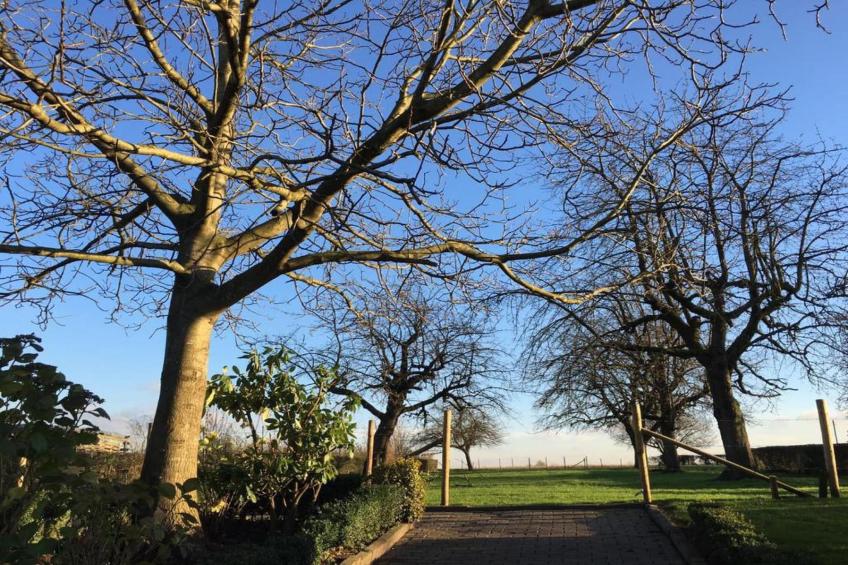 Resort Gulpen 7 - foto 28