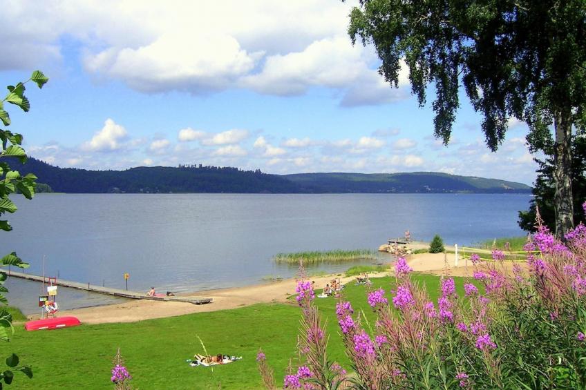 Rosenapartment - foto 20