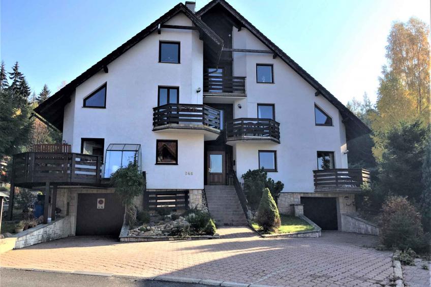 Holiday apartment in ski area - BF-WJYK