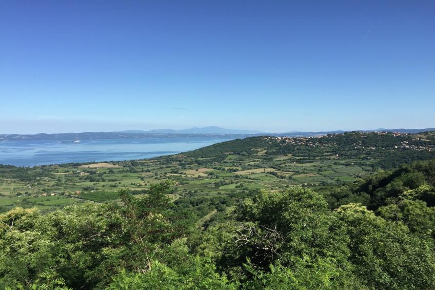 Castagneto - foto 40