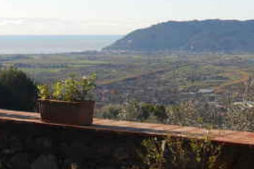 mit Wasserblick - foto 11