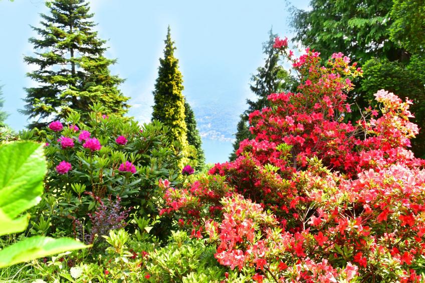 Wohlfühlort - foto 19