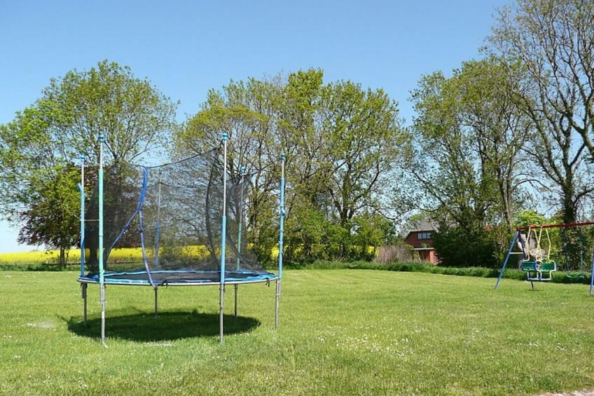 10320 - foto 3