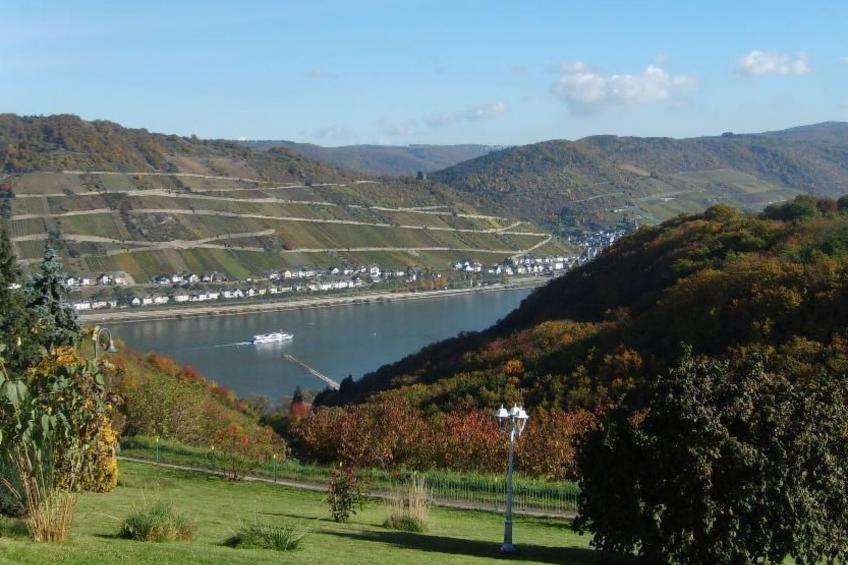 mit Balkon und Rheinblick - foto 23