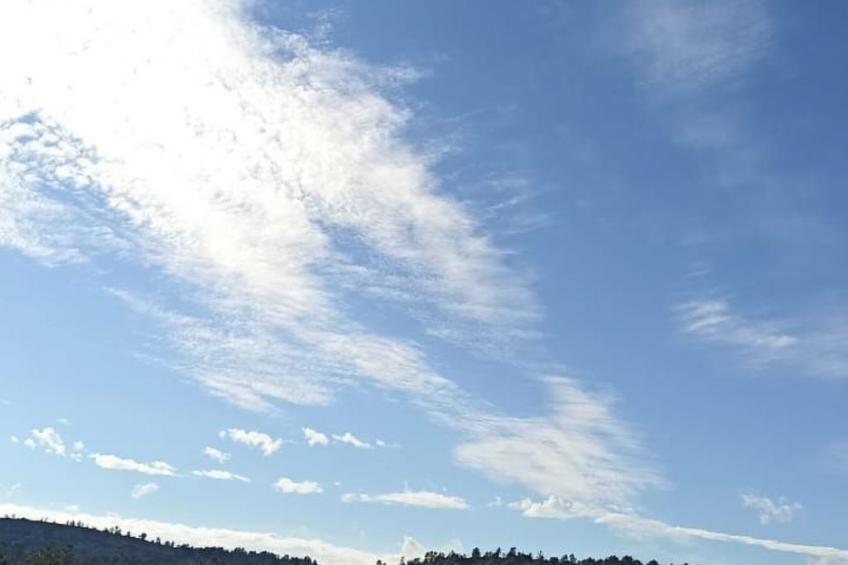 Ferien auf dem Bauernhof mit Weinberg - foto 44