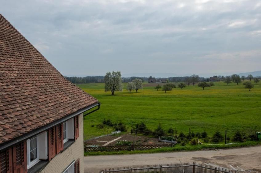 Manser, Ferien beim Bauer (2.Stock) - foto 9