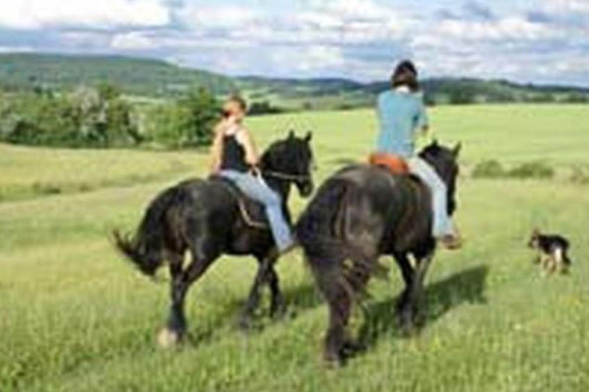 in Le Châtelet-Sur-Meuse mit Grill, Garten und Terrasse - foto 7