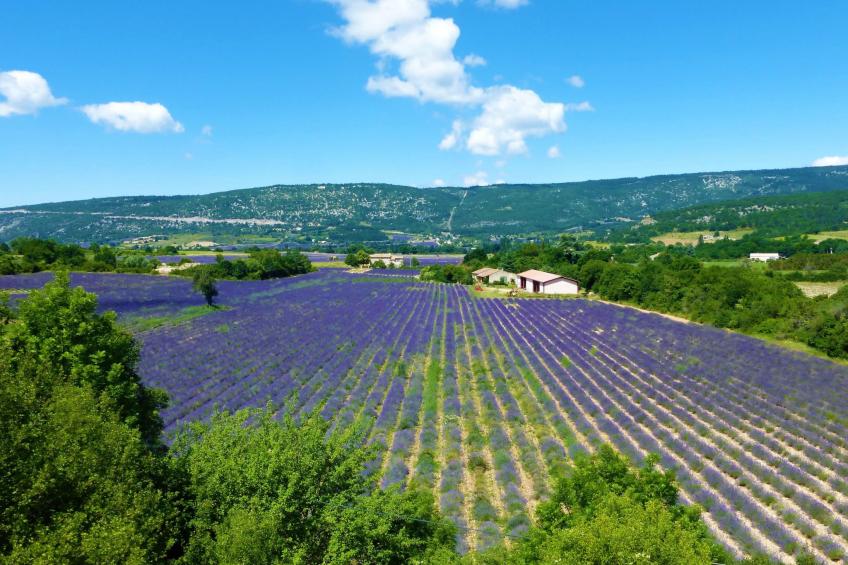 Provenzalisches Haus mit Pool und Garten - foto 27