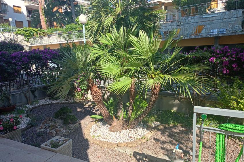 Bouganville - foto 32