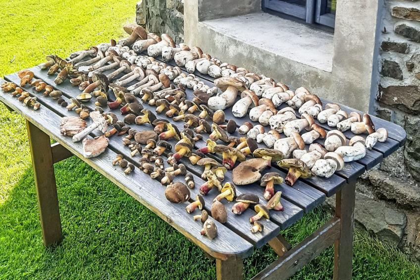 Ruprechtovský mlýn - foto 14