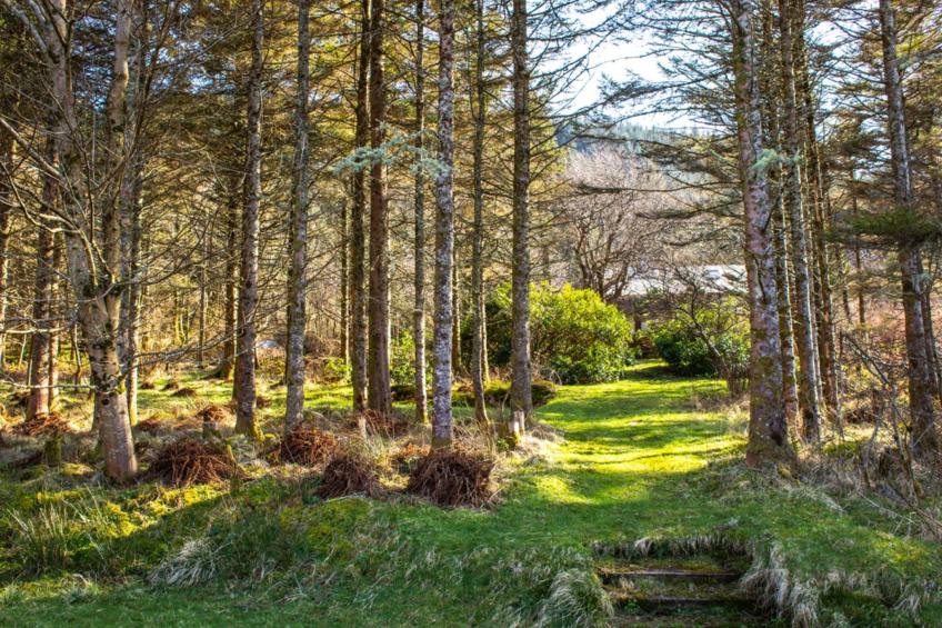 Blue Lobster - foto 50