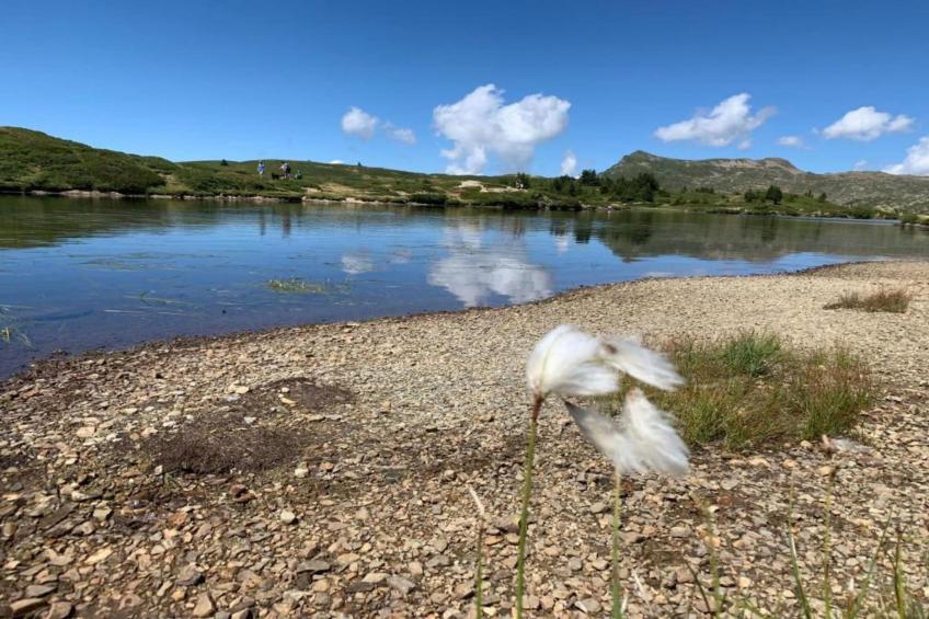 La Cascade - Les Epinettes - foto 19