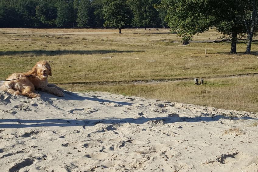 Geschmackvoll eingerichtetes Bauernhaus aus dem 19. - foto 37