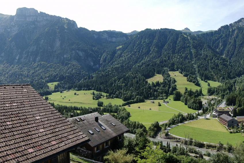 Schwarzmann - foto 47