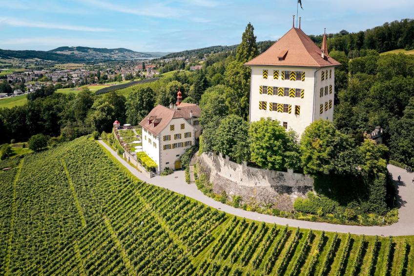 Schloss Heidegg - foto 3