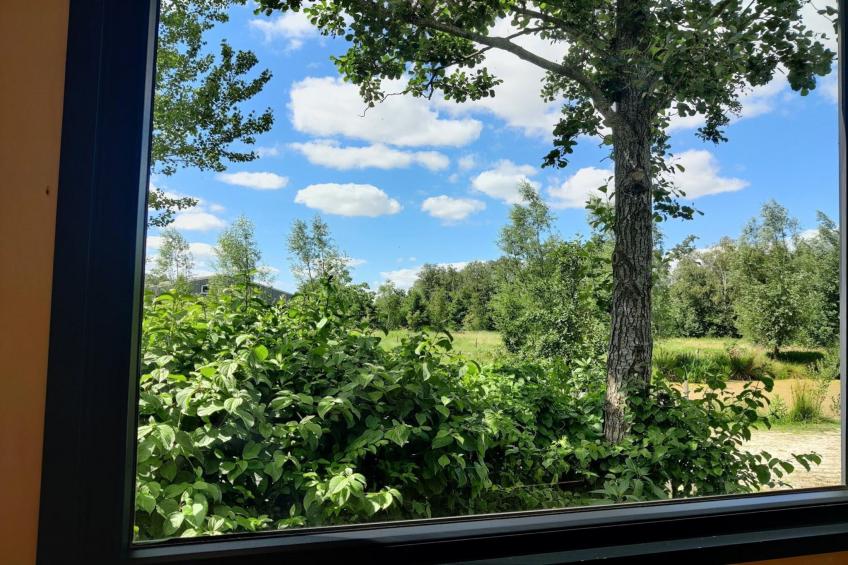 Groepsaccommodatie + 4 large greenhouses (36 personen) - foto 39