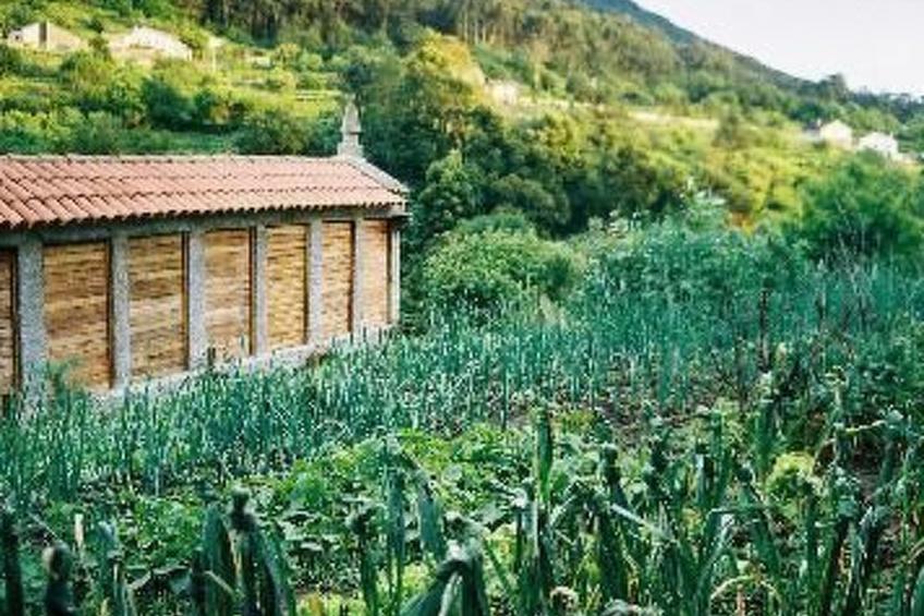 NATUR IN IHRER REINSTEN FORM - foto 18